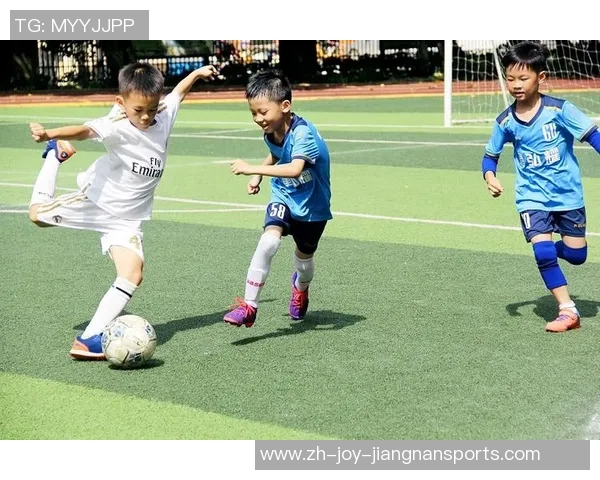 足球领悟：从绿茵场上的拼搏到人生哲理的深刻启示